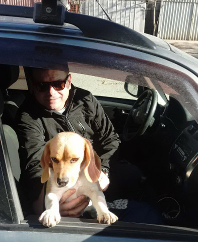 akciya-po-kompleksnoj-vakcinacii-sobak