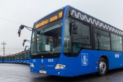 автобус автобус