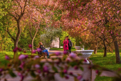 фото: foto.mos.ru фото: foto.mos.ru