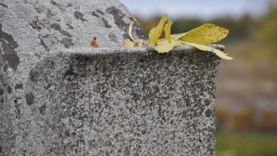 Гранитные памятники