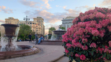 sady-i-cvety sady-i-cvety