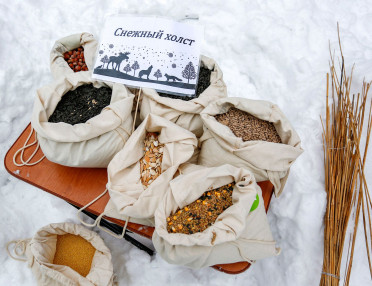 фото с портала mos.ru