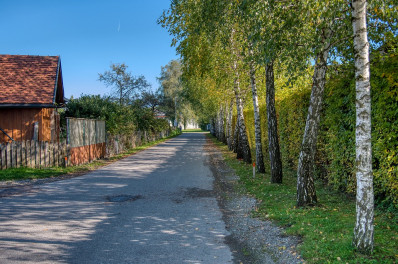 40-avtobusnyh-marshrutov-k-snt