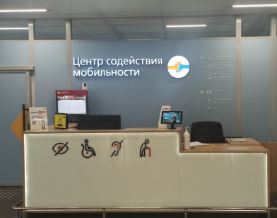 60-sobak-provodnikov-dlya-malomobilnyh-passazhirov