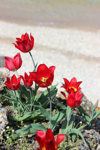 8 марта 8 марта