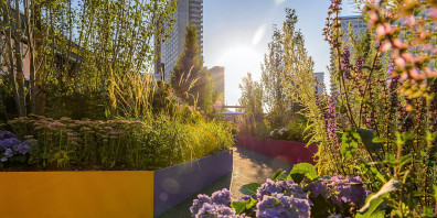 фото с портала mos.ru