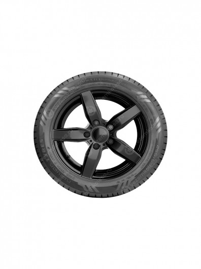 kak-vybrat-i-kupit-letnie-shiny