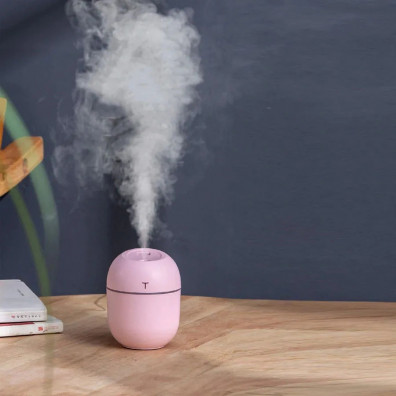 kriterii-vybora-uvlazhnitelya-vozduha