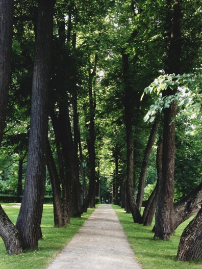 Липовая аллея Остафьево