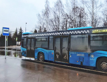 novye-vydelennye-polosy