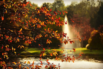 otkroyutsya-novye-parkovye-zony