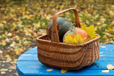 podgotovka-teplicy-i-ogoroda podgotovka-teplicy-i-ogoroda