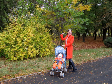 proekt- «nashe-derevo» 