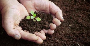 Социально-ответственная компания