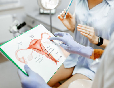 uslugi-ginekologa-v-chastnoj-klinike