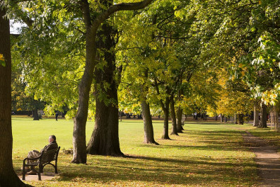 v-mihajlovskom-uskorili-mobilnyj-internet v-mihajlovskom-uskorili-mobilnyj-internet