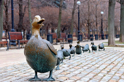 В Москве упрощен порядок получения социальных выплат