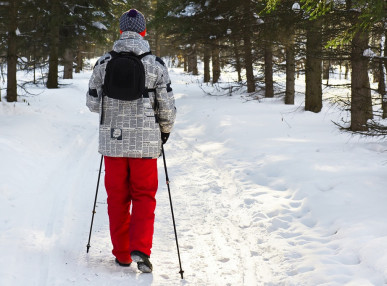 vstrechi-lyubitelej-skandinavskoj-hodby