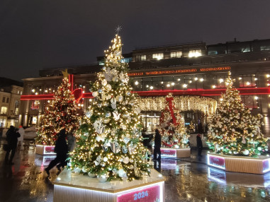 vystavka-dizajnerskih-elej