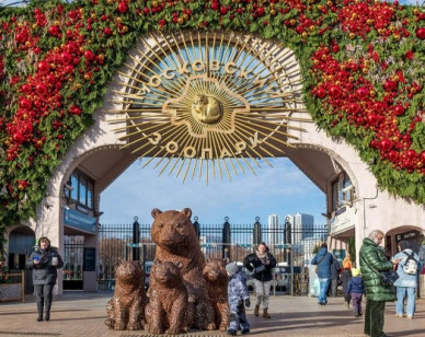 фото с сайта mos.ru