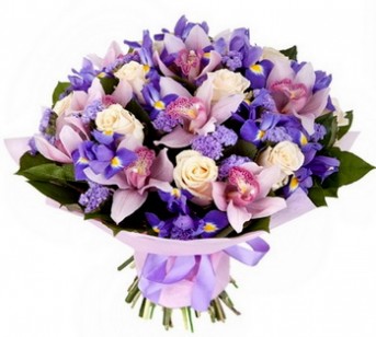 002a6e4290e278a266120854c6e30766_1485751395_1000_1000