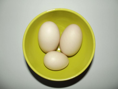 egg-duck-eggs-large-eggs-bowl