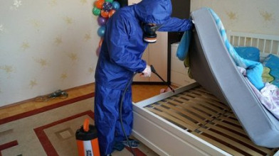 дезинсекция