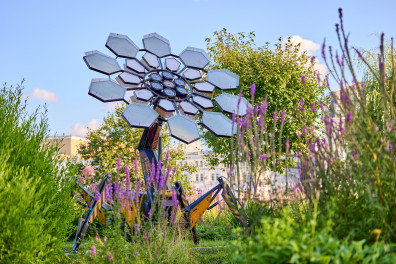 Территория будущего. Москва 2030