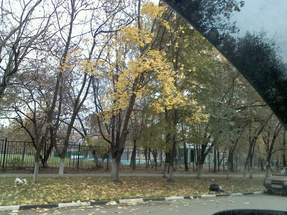 школа 3 лыткарино. школа номер 8 лыткарино. детский сад у-знайки улгпу. 1 школа лыткарино. дошкольное образование в улгпу.