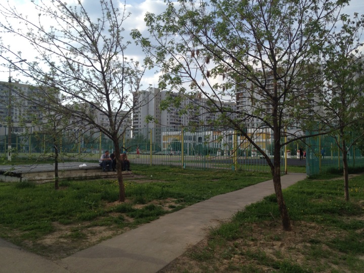 Фото Школы Николаева