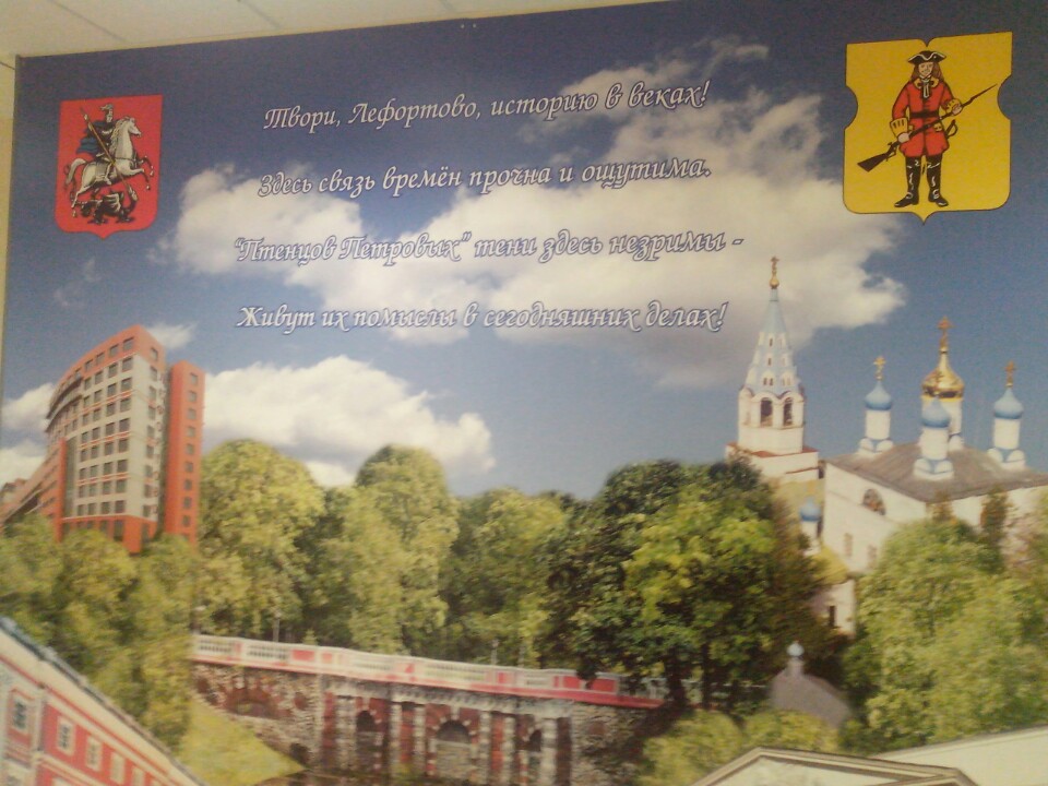 мфц парнас. мфц бауманская. мфц лефортово часы работы. мфц центральный пермь. пр завода серп и молот 10.