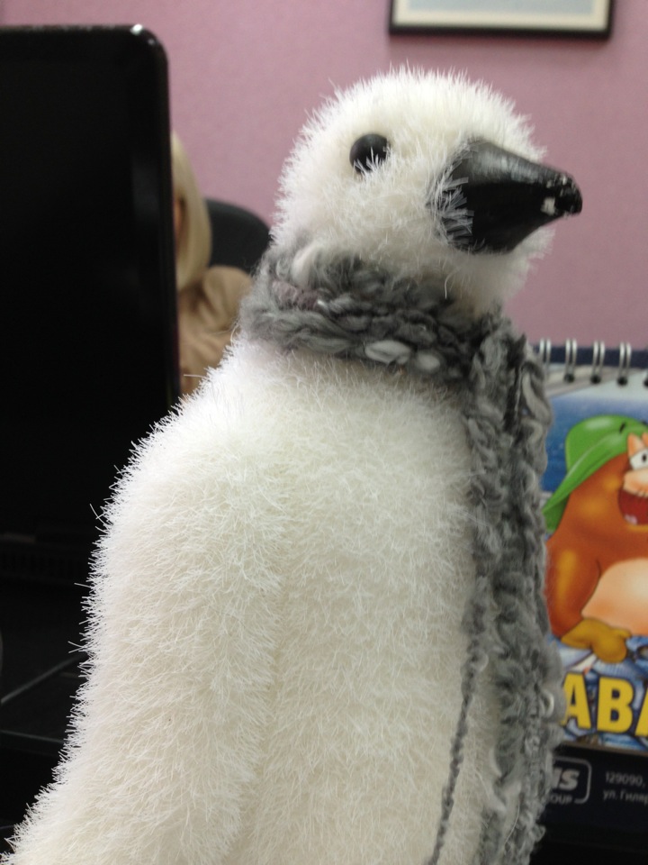 магазин пингвин режим работы. пингвин киров режим работы. пингвин киров. пингвин киров режим работы. 33 пингвина фудкорт.